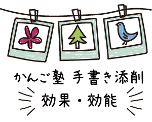 かんご塾の効果と効能